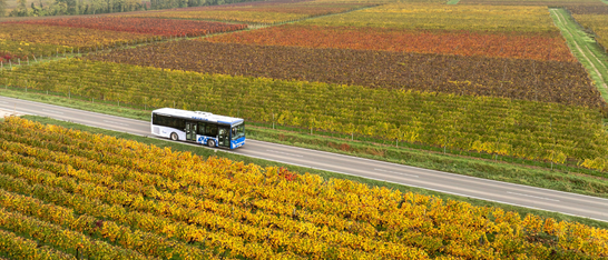 Bus im Herbst